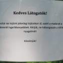 Állatkert-Bográcsozás 2009.05.01.