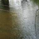 Állatkert-Bográcsozás 2009.05.01.