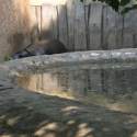 Állatkert-Bográcsozás 2009.05.01.